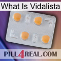 What Is Vidalista 24